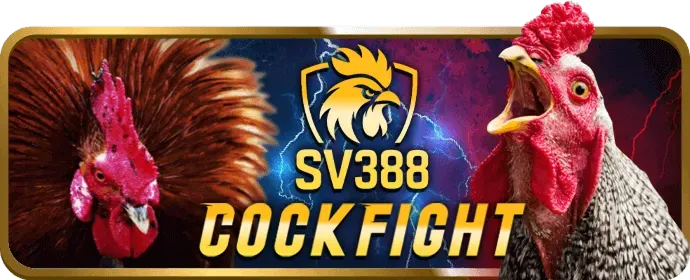 Game Bài Baccarat Tại 789live